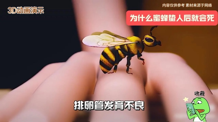 3D动画演示：为什么蜜蜂蛰人后它就会死？北京劲松<em>中西医结合医院</em>#北京劲松<em>中西医结合医院</em>#