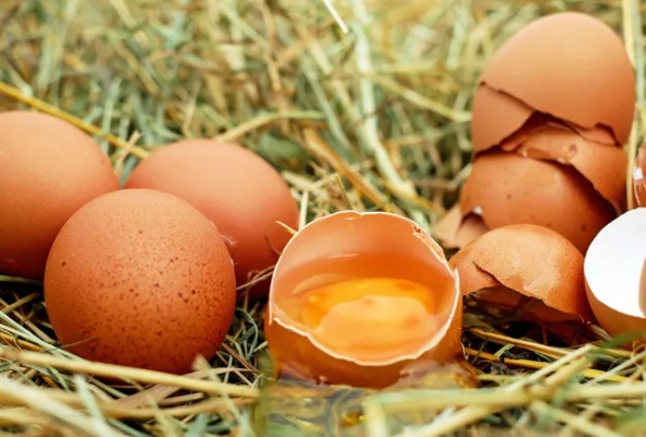 为什么平时都是<em>吃鸡蛋</em>多一点?鸡蛋和鸭蛋又有什么不同?