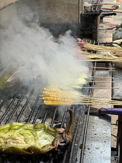 在西双版纳景洪市区，油乡<em>附近</em>吃的傣味烧烤。