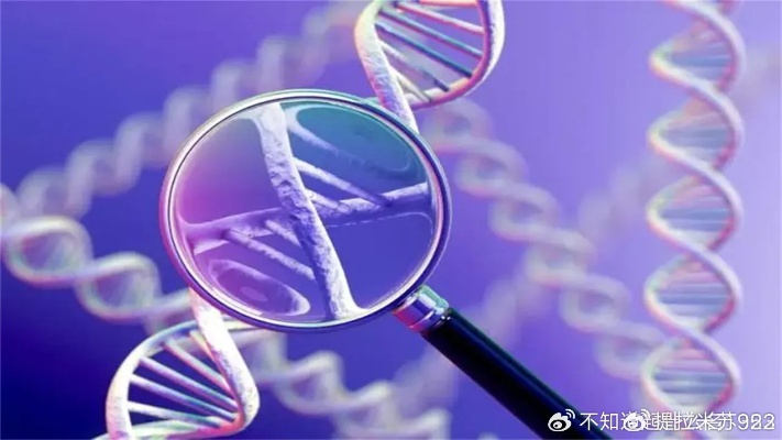 <em>淮南</em>地区DNA亲子鉴定机构-16家名单(2024年汇总)