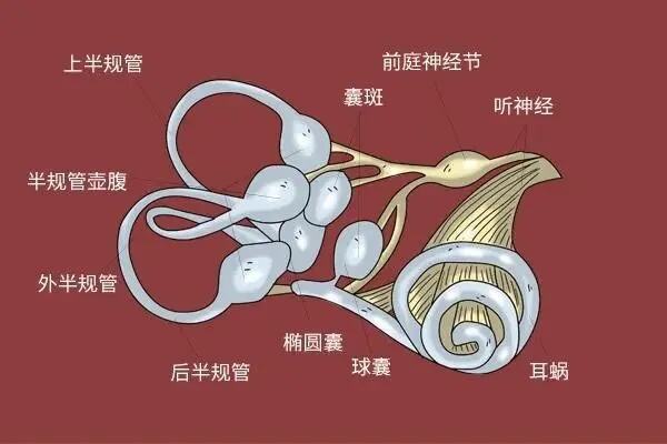 <em>成都</em>民生福音耳鼻喉专科医院！耳鼻喉专科<em>排名</em>第一的医院！