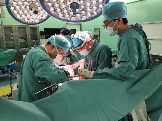 <em>上海医院</em>完成国内首例转化治疗后“原位肝移植联合全胰腺切除”<em>手术</em>