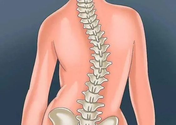 你的身体，不要被脊柱侧凸“折叠”<em>骨科</em>|外科|创伤|骨伤科|中西医_网易订阅