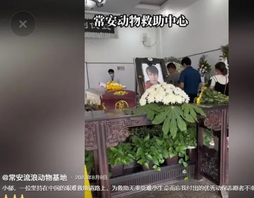 <em>上海</em>富二代郁雷鸣：为救2000只流浪狗而倾家荡产，仅46岁病逝