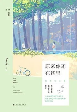 原来你还在这里苏韵锦程铮