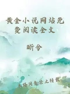 黄金小说网站