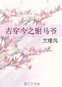 穿越gl驸马