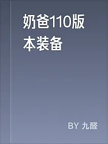 奶爸110版本装备