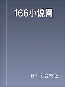 166小说网