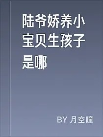 陆爷娇养小宝贝生孩子是哪
