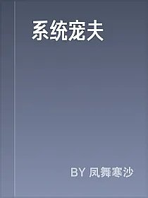 系统宠夫