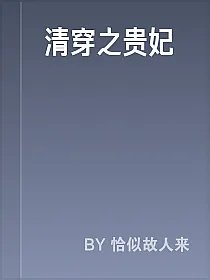 清穿之贵妃