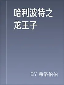 哈利波特之龙王子