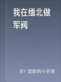 我在缅北做军阀