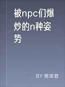 被npc们爆炒的n种姿势