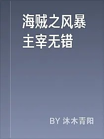 海贼之风暴主宰无错