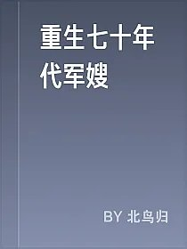 重生七十年代军嫂