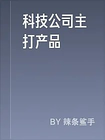 科技公司主打产品