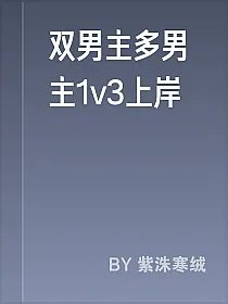 双男主多男主1v3上岸