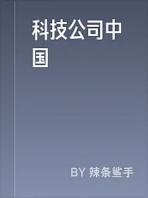 科技公司中国