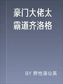 豪门大佬太霸道齐洛格