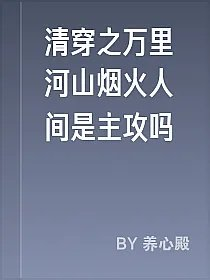 清穿之万里河山烟火人间是主攻吗