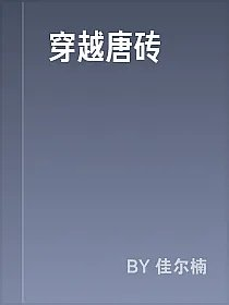 穿越唐砖