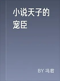 小说天子的宠臣
