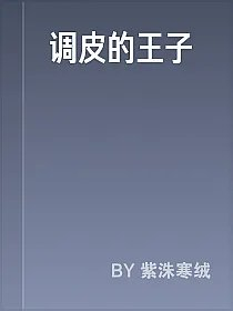 调皮的王子