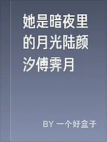 她是暗夜里的月光陆颜汐傅霁月