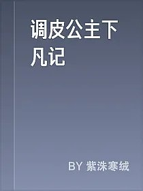 调皮公主下凡记