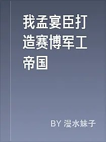 我孟宴臣打造赛博军工帝国