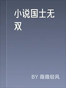 小说国士无双