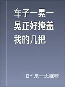 车子一晃一晃正好掩盖我的几把