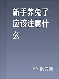 新手养兔子应该注意什么