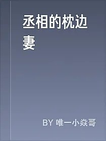 丞相的枕边妻