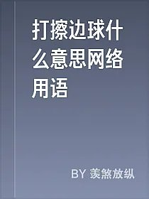 打擦边球什么意思网络用语