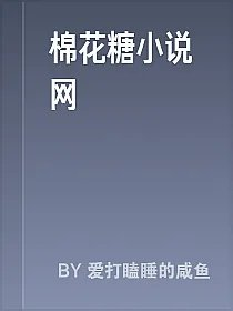 棉花糖小说网