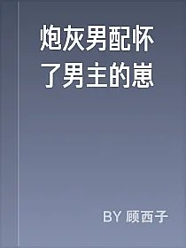炮灰男配怀了男主的崽
