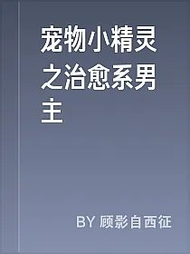 宠物小精灵之治愈系男主