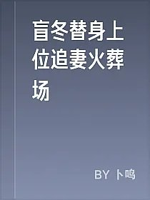 盲冬替身上位追妻火葬场