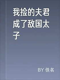 我捡的夫君成了敌国太子
