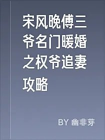 宋风晚傅三爷名门暖婚之权爷追妻攻略