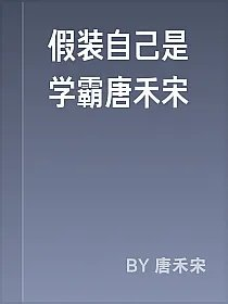 假装自己是学霸唐禾宋