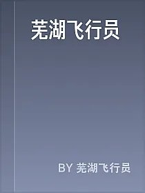 芜湖飞行员