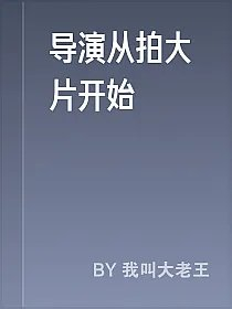 导演从拍大片开始