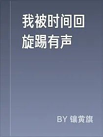 我被时间回旋踢有声