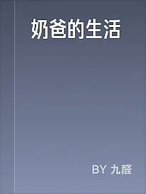 奶爸的生活