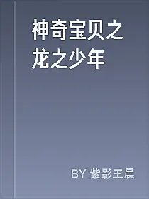 神奇宝贝之龙之少年