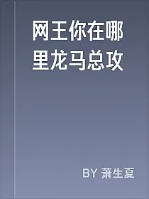网王你在哪里龙马总攻